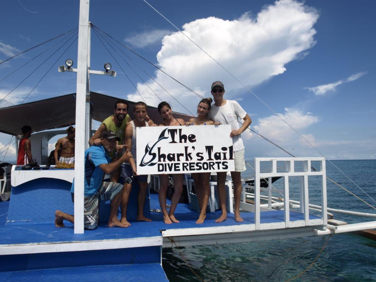 The Shark'S Tail Dive Resort Malapascua Eksteriør billede